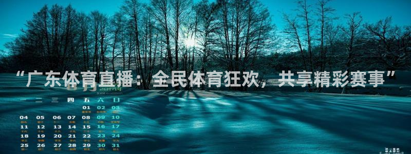 上海五星体育频道节目：“广东体育直播：全民体育狂欢，共享精彩赛事”
